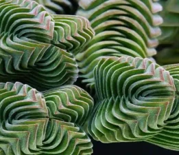 Matematik İnsanın Keşfidir, Ancak Doğa Bu Matematiği Kullanmaz. Çünkü Hesap Yapmaz