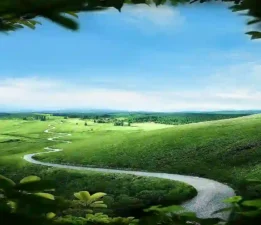 Doğanın Düzeni Metafiziktir (Mi?)