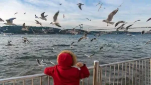 Enver Gökçe’nin dizeleriyle başlayayım; Adı Haritalarda bile bulunmayan/Bir köyündenim Anadolu’nun/Güzel
