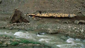 Van’da Bahçesaray’a giderken bu fotoğrafı çekmiştim. Pırıl pırıl bir su,