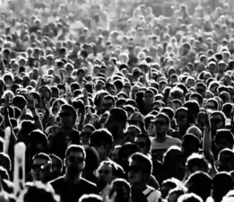 Sosyalizm ve Milliyetçilik