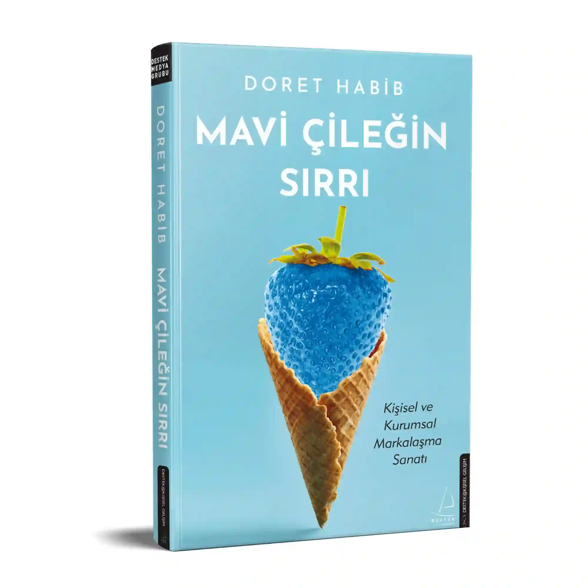 MAVİCİLEGİNSIRRI_