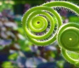 Are The Laws Of Nature Enough To Form The Universe?