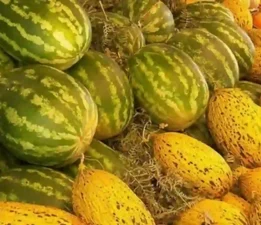 Günün Masalı: 29 Ağustos; Bahçıvanla Şah