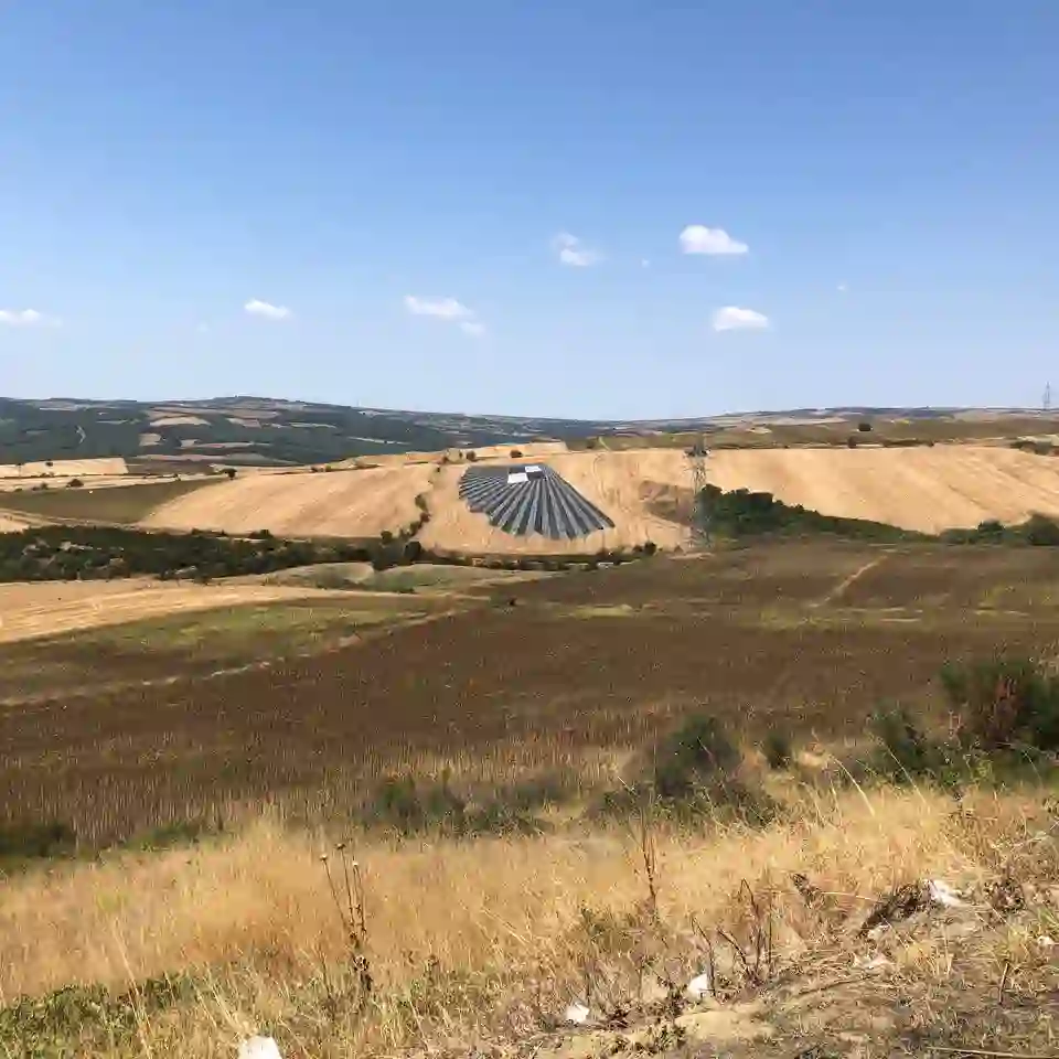 Rhian Harris Mussi, Varsayımsal Alan Araştırması, 2024, değişen ölçüler