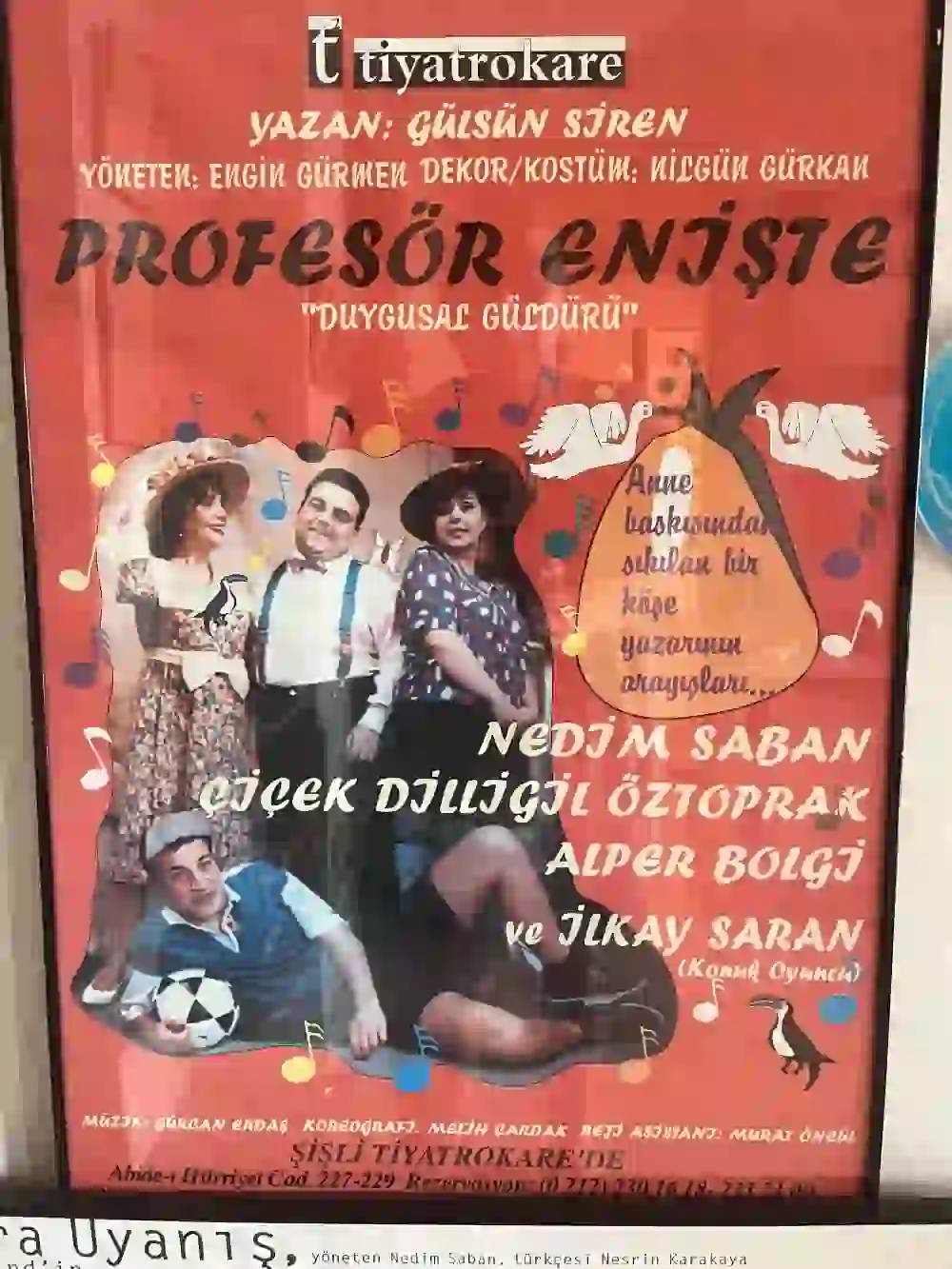 Profesör Enişte