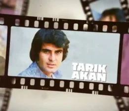 Tarık Akan
