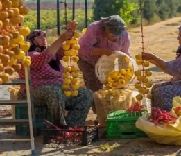İzmir’de cennet hurması mesaisi