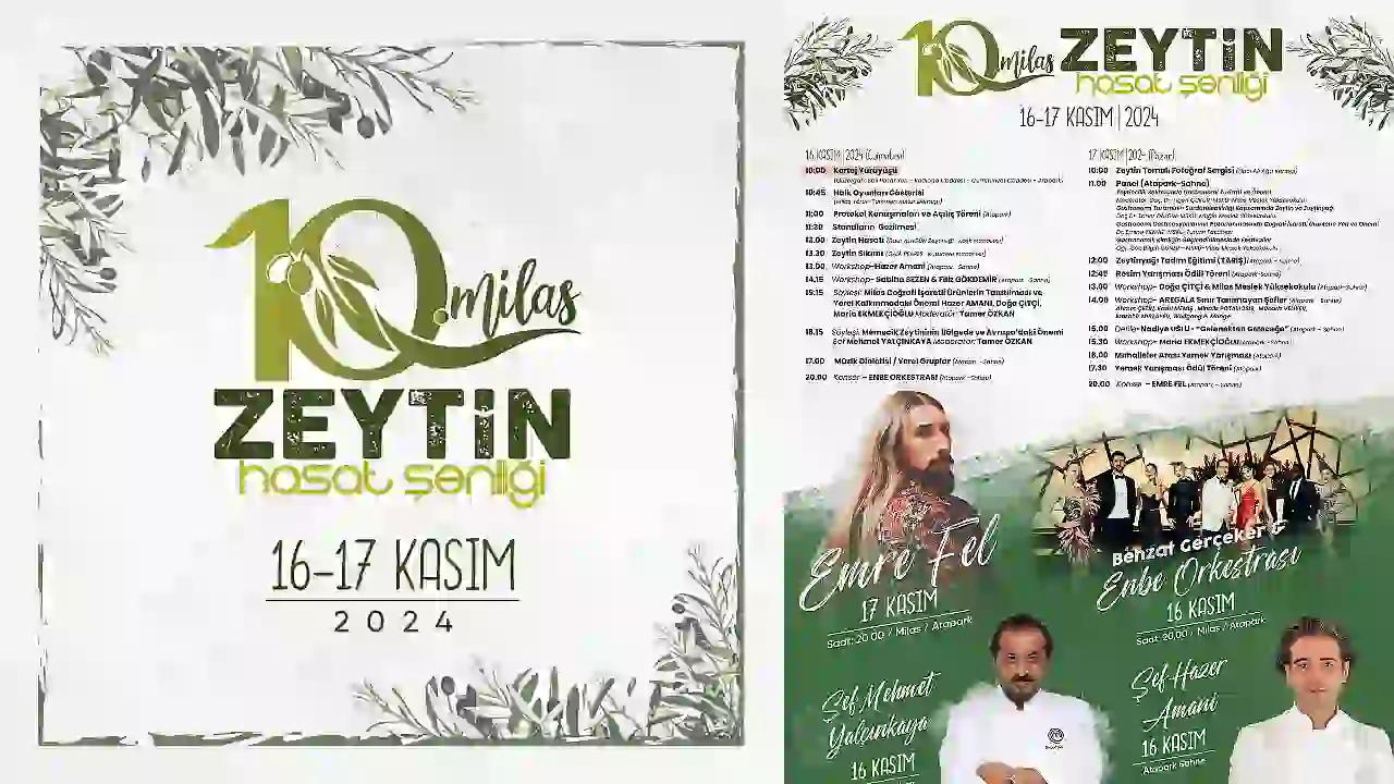 10-milas-zeytin-hasat-senligi-icin-geri-sayim-basladi-3648