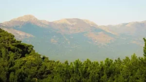 Günümüzde bireysel ve sınırsız kâr hırsına dayanan Batı merkezli kapitalist