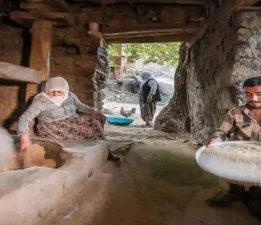 150 yıllık değirmende pirinç üretimi