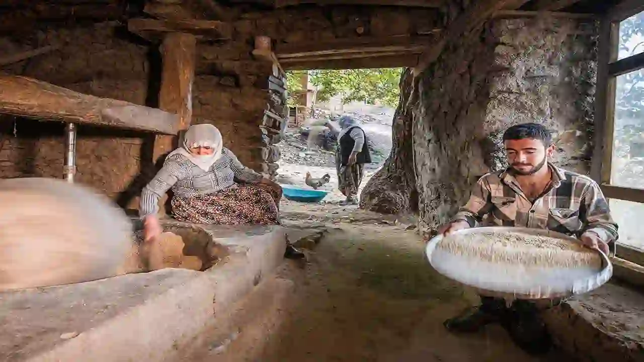 150 yıllık değirmende pirinç üretimi
