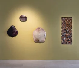 Koray Ariş’in Kişisel Sergisi İçinde Yaşadığımız Deri Arter’de