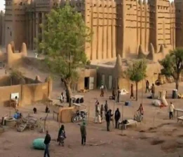 Günün Masalı: 5 Ocak; Afrika’daki Karıncalar