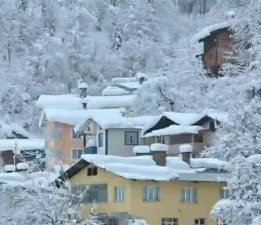 Artvin, Berta Köyü/ Kokvar Mahallesi