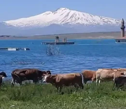 Gümüşören Barajı ve Erciyes Dağı