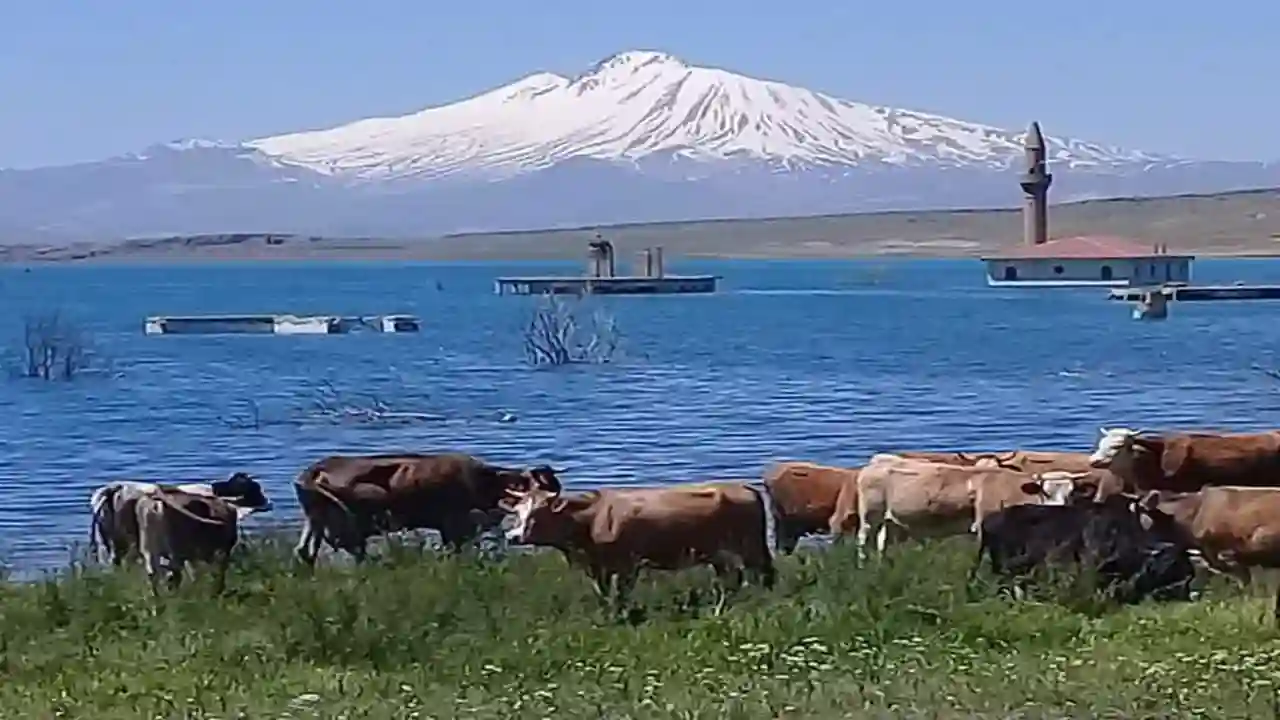 Gümüşören Barajı ve Erciyes Dağı