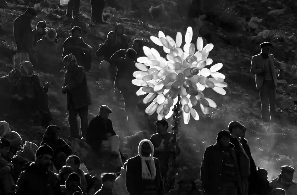 SELÇUK DEVEGÜREŞLERİ 1985