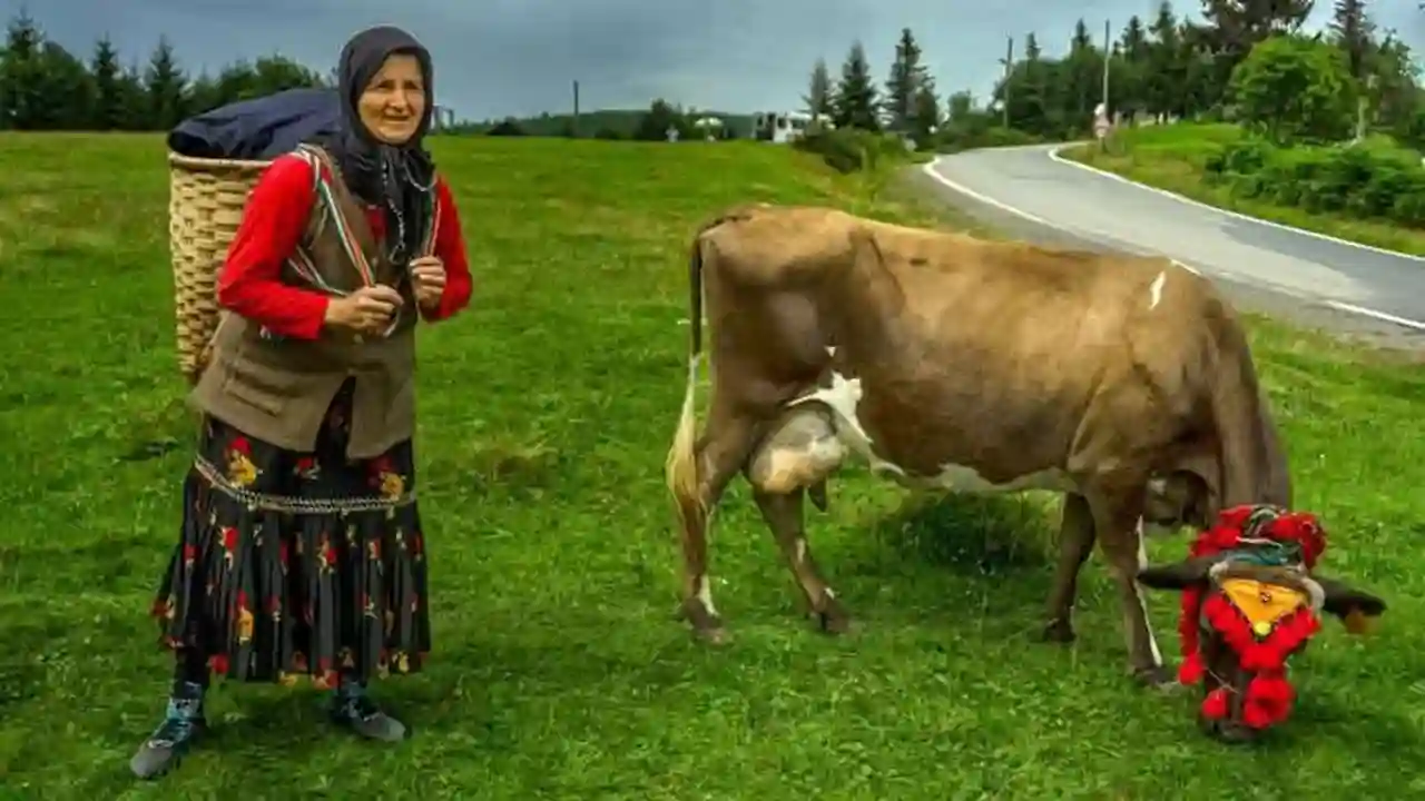 Sis dağı yaylası-Şalpazarı/Trabzon