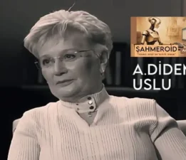 İnsansı Robottan İnsana Eleştiri: Şahmeroid