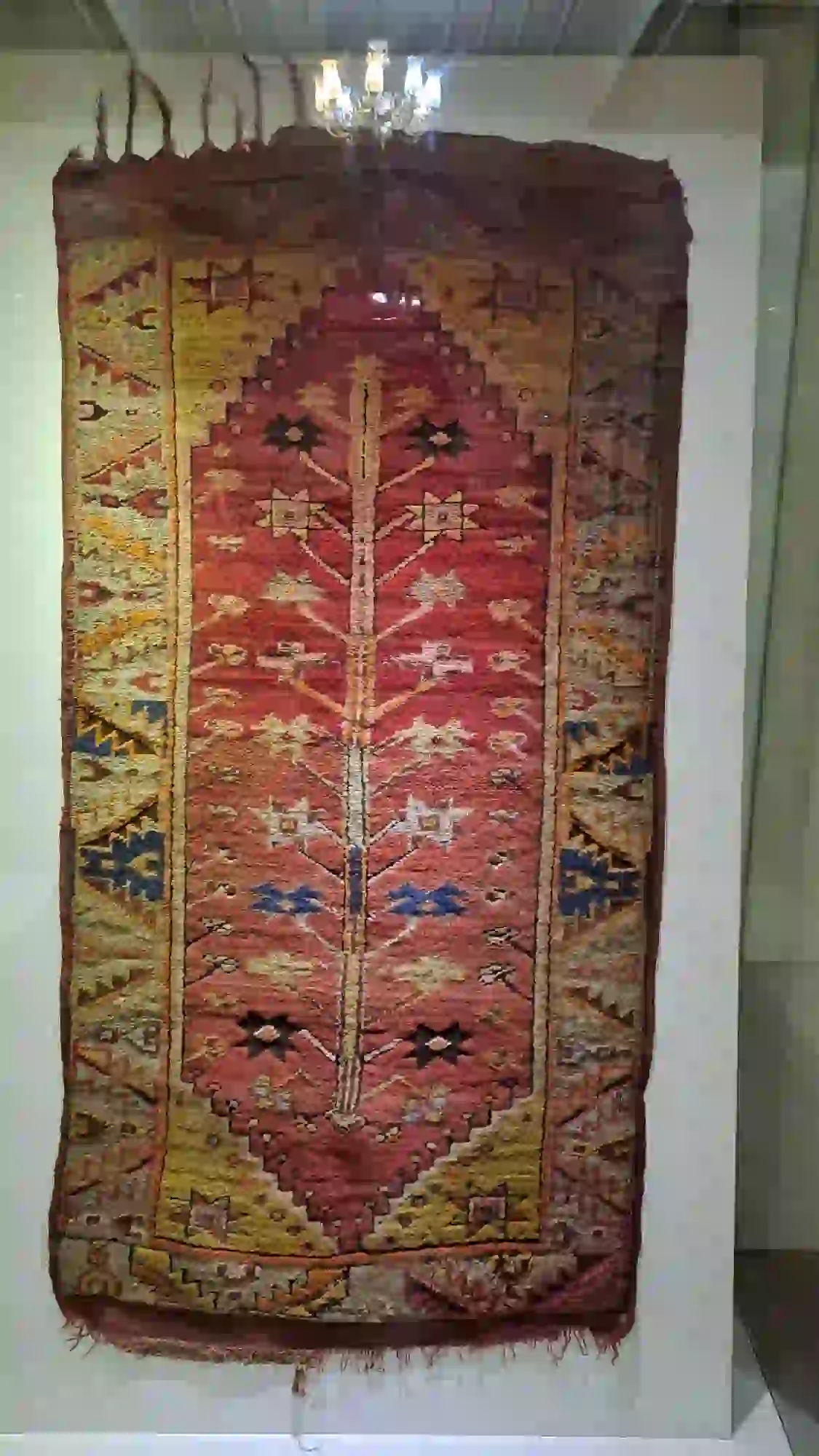 hayat_agaci_milas