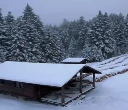Ilgaz Dağı Milli Parkı