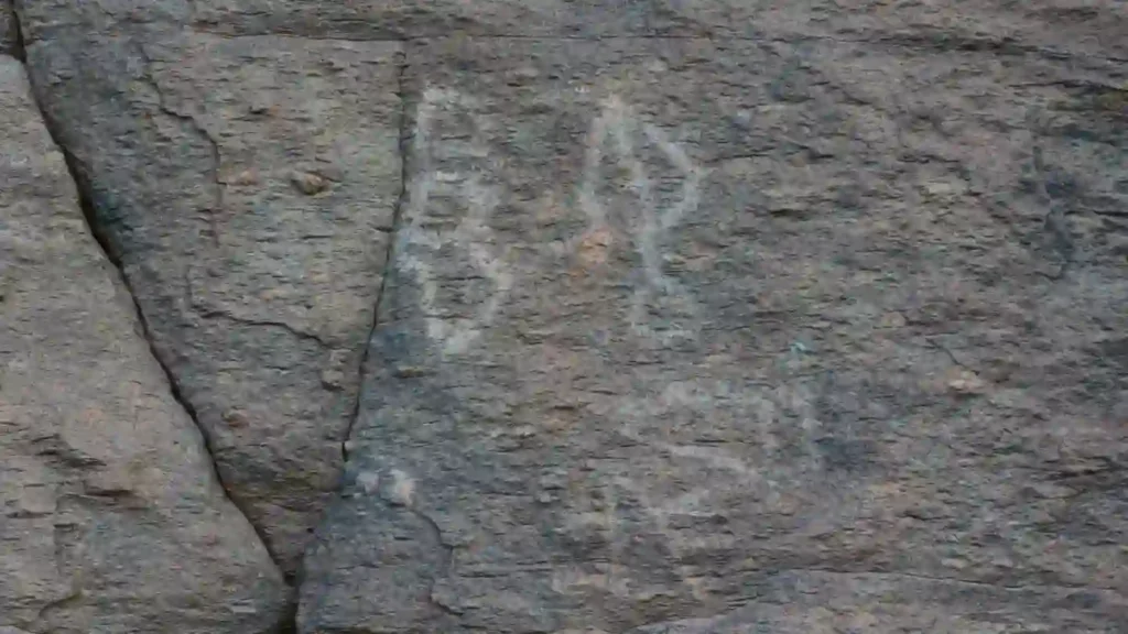 suratkaya3