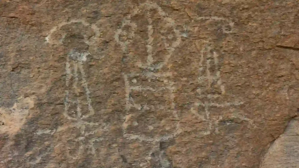 suratkaya5