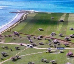 Çiçek açan badem ağaçlarıyla renklenen Çarpanak Adası 