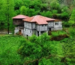 Fındıklı Gürsu (Başköy) Rize