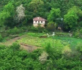 Giresun-Merkez-Osmaniye Köyü-Keltepe Mahallesi