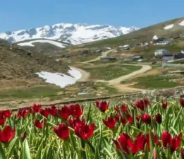 Antalya’nın yüksek kesimleri baharın gelişiyle canlandı