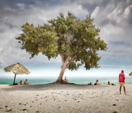 Metrohan’ın Üçüncü Katı, Ziya Tacir’in “Ses ve Sessizlik” Sergisiyle Açıldı!