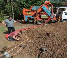 Giresun’da fındıklar kurutuluyor