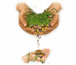 5. Rize Gastronomi Etkinliği 10 Ekim’de başlıyor