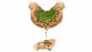 Rize’nin 12 İlçesi ülkemiz üniversitelerinin gastronomi bölümlerinde görev yapan 12
