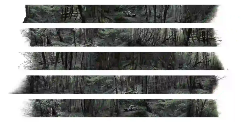 Arzu Arbak, Ödünç Alınmış Manzaralar - Borrowed Landscapes, 2024, fine art printing, 112x250cm