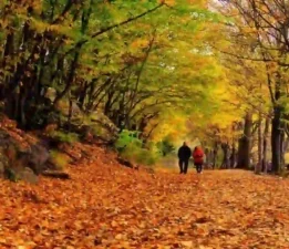 Çubuk-Karagöl-Ankara