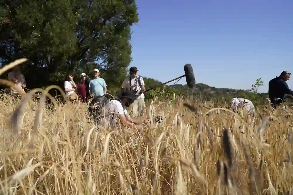 Mezopotamya Ekmek ve Aşk02