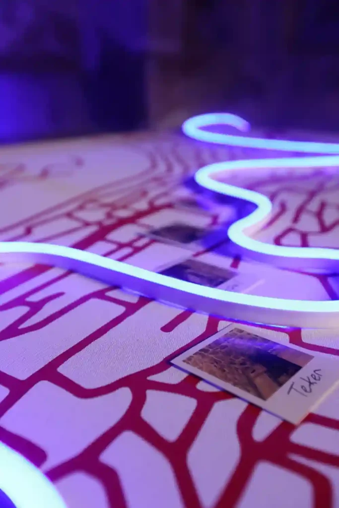 Serhat Kiraz & A.Ceren Solmaz, Bu Bir Su Öyküsüdür, Dijital Baskı, Led Neon, Ses, Projeksiyon, Mekana Özgü Yerleştirme, 120cmx220cm, çeşitli ölçülerde neon, 2025 (5)-min