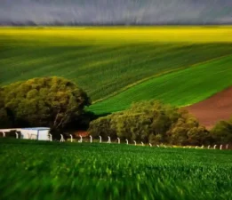 Tekirdağ’da doğanın olabildiğince güzelliği