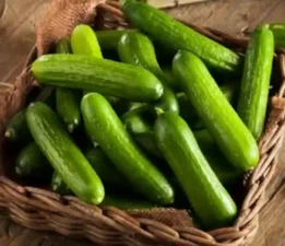 Günün Masalı: 10 Ekim; Turfanda Salatalığın Fiyatı