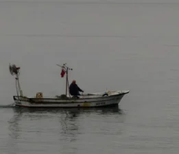 Akçakoca’da ekmeğini denizden çıkaranlar