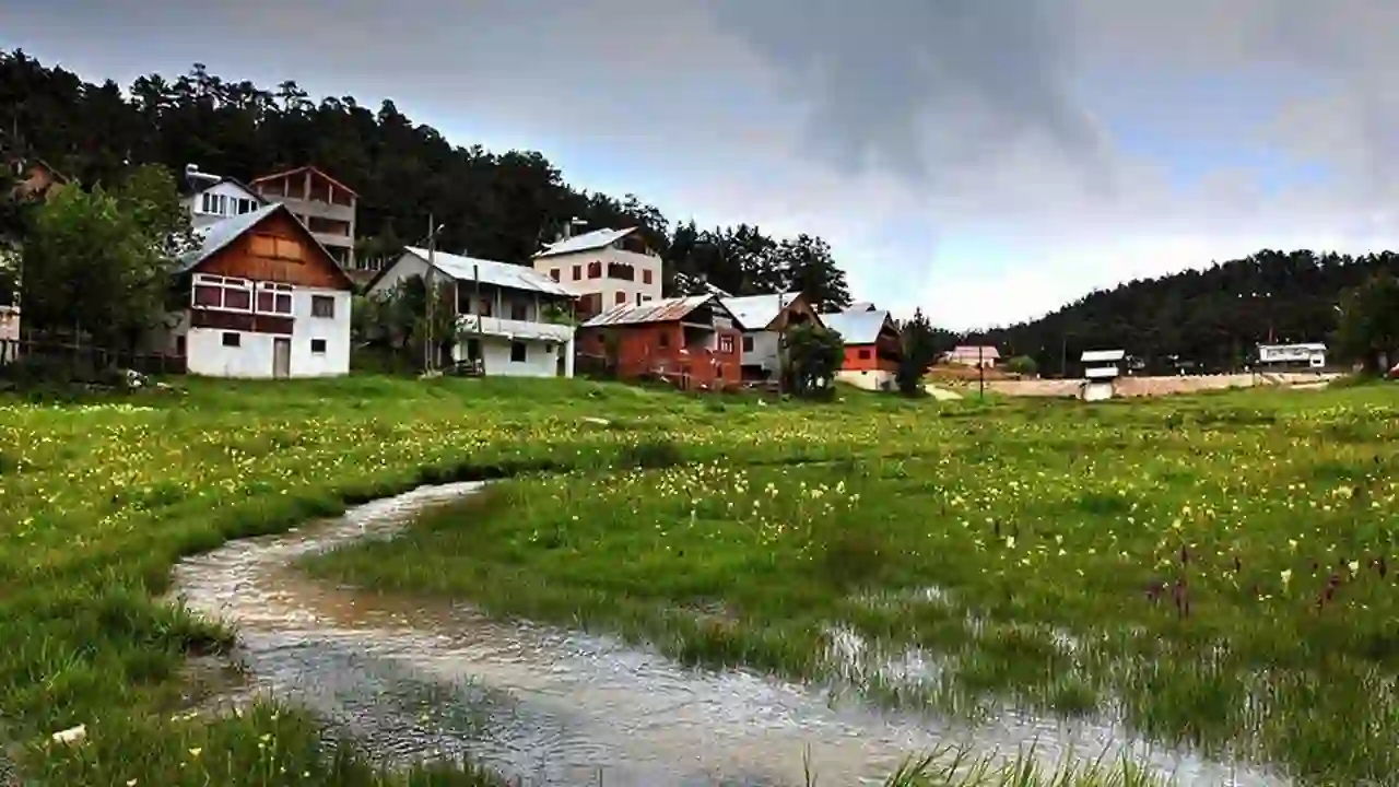 Eğriçimen Yaylası – Koyulhisar – Sivas