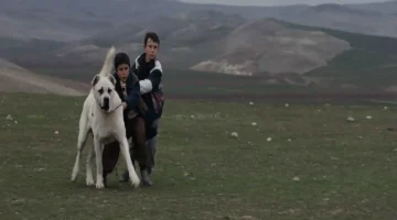 Kaan Müjdeci’nin “Sivas”  filmi Youtube’da yayında!