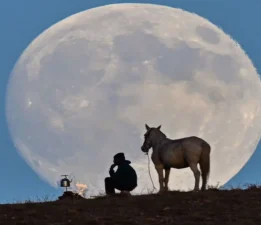 Van’dan bir dolunay manzarası