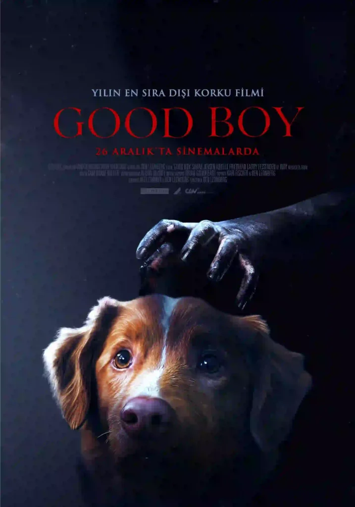 Good_Boy___G__ncel