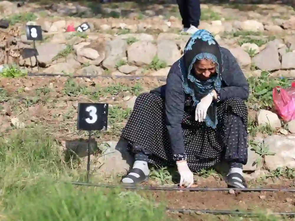 İzmir'de kadınlara yönelik çalışmalar04