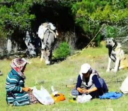 Karakeçili Türkmenleri