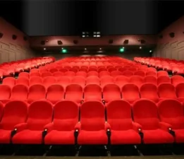2025’te en çok yerli filmler izlendi